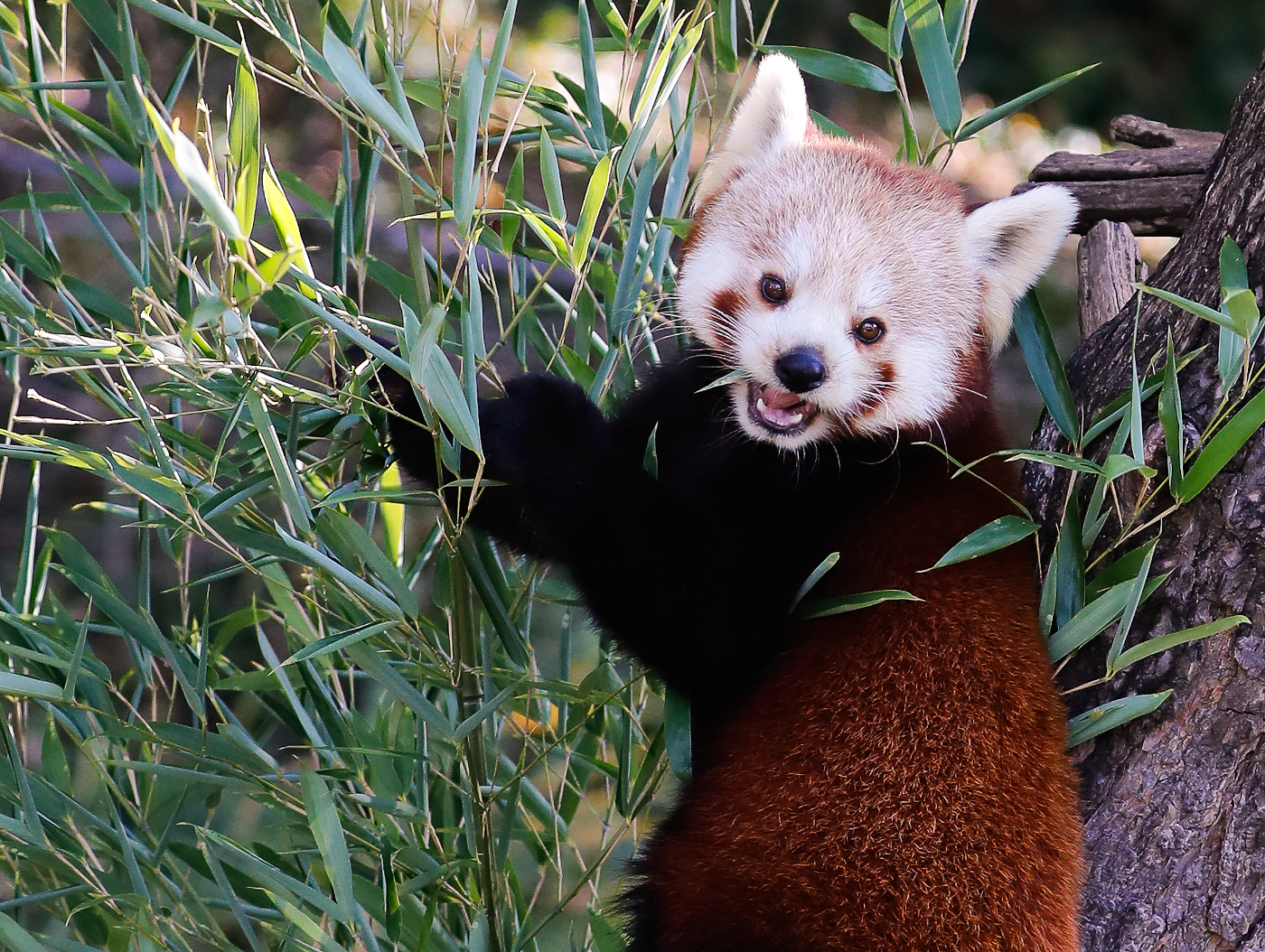 140010_20211020-_m1_MG_2640